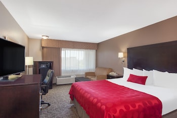 Room, 1 King Bed, Non Smoking