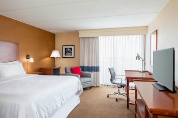 Room, 1 King Bed