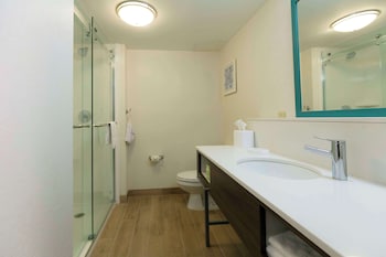 Suite, 1 King Bed, Extended
