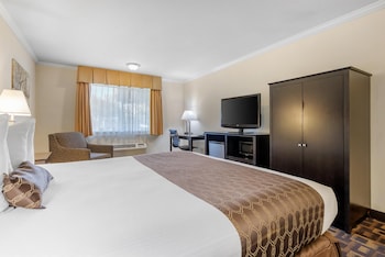 Suite, 1 King Bed, Non Smoking, Kitchen (Full Kitchen)