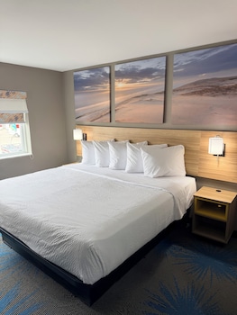 Room, 1 Queen Bed, Mobility Accessible, Non Smoking (Bathtub w/ Grab Bars)