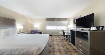 Standard Room, 1 Queen Bed, Non Smoking, Refrigerator & Microwave