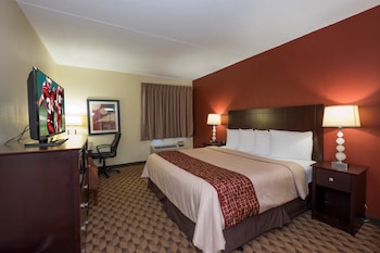Standard Room, 1 King Bed, Roll-in Shower, Non Smoking