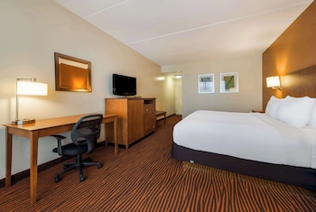 Suite, 1 King Bed, Non Smoking, Refrigerator & Microwave (with Sofabed)