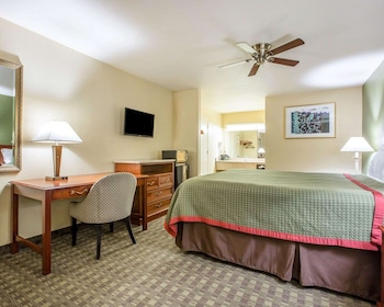 Standard Room, 1 King Bed, Smoking, Refrigerator & Microwave