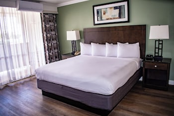 Standard Room, 1 King Bed, Refrigerator & Microwave