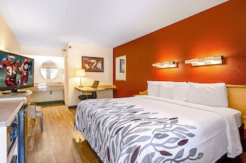 Superior Room, 1 King Bed (First Floor, Smoke Free)