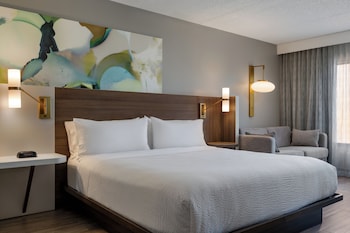 Standard Room, 1 King Bed, Mobility Accessible (Accessible Shower)