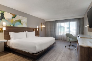 Suite, 1 King Bed