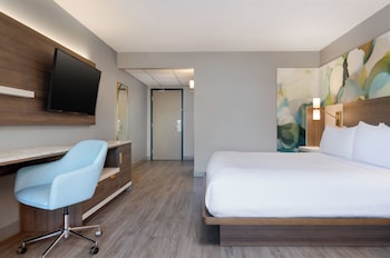 Standard Room, 1 King Bed, Mobility Accessible (Accessible Shower)