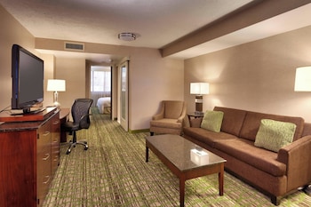 Suite, 1 King Bed with Sofa bed