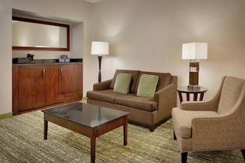 Suite, 1 King Bed with Sofa bed