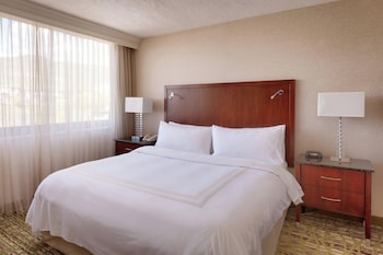 Room, 1 King Bed (Mobility Accessible, Roll-in Shower)