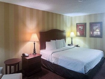 Deluxe Room, 1 King Bed, Smoking, Refrigerator & Microwave