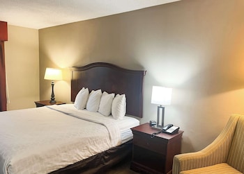 Deluxe Room, 1 King Bed, Smoking, Refrigerator & Microwave