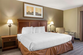 Room, 1 King Bed, Non Smoking