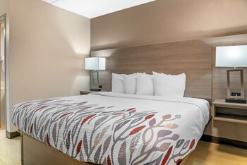 Standard Room, 1 King Bed (Smoke Free)