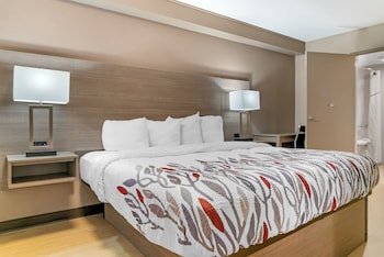 Deluxe Room, 1 King Bed, Accessible (Roll-In Shower, Smoke Free)