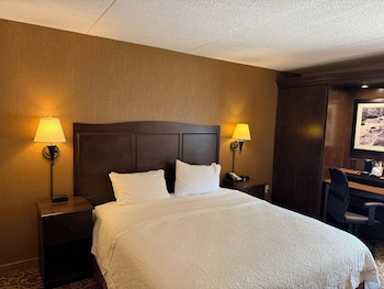 1 King Bed Room, Accessible (Mobility & Hearing, Roll-in Shower)