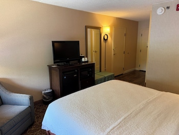 1 King Bed Room, Accessible (Mobility & Hearing, Roll-in Shower)