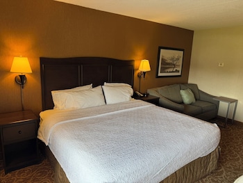 1 King Bed with Sofa bed (Study)