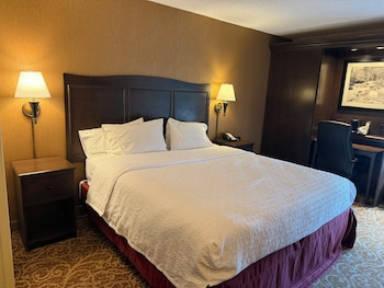 1 King Bed Room, Accessible, Bathtub
