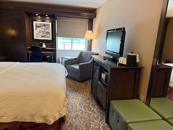 1 King Bed Room, Accessible (Mobility & Hearing, Roll-in Shower)