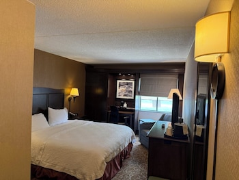 1 King Bed Room, Accessible (Mobility & Hearing, Roll-in Shower)