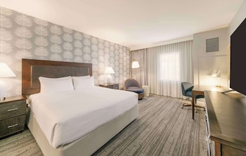 Room, 1 King Bed, Accessible, Bathtub (Hearing)