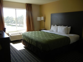Room, 1 King Bed, Smoking