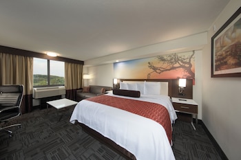 Standard Room, 1 King Bed with Sofa bed