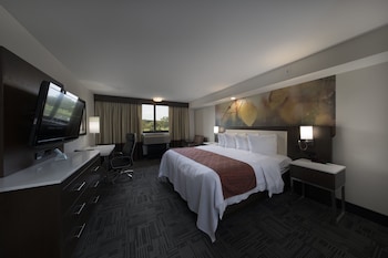 Suite, 1 Bedroom