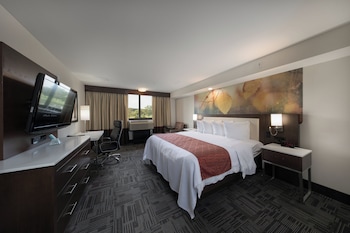 Standard Room, 1 King Bed with Sofa bed