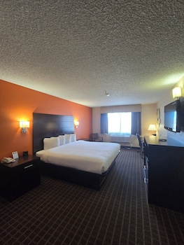 Room, 1 King Bed, Non Smoking