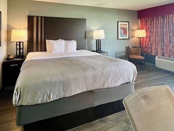 Room, 1 King Bed, Accessible, Non Smoking