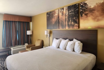 Standard Room, 1 King Bed, Smoking