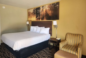 Studio Suite, 1 King Bed, Smoking