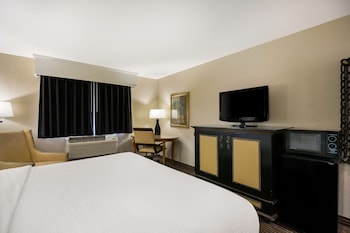 Standard Room, 1 King Bed, Accessible, Refrigerator & Microwave