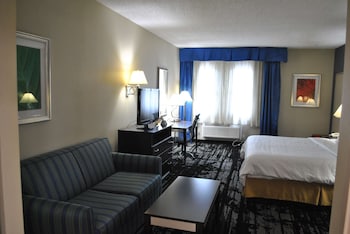 Standard Room, 1 King Bed, Non Smoking, Refrigerator & Microwave (with Single Sofabed)
