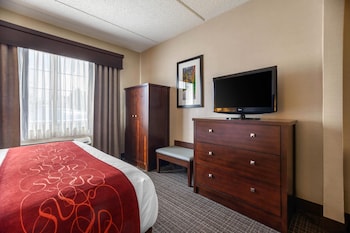 Suite, 1 King Bed with Sofa bed, Non Smoking, Jetted Tub