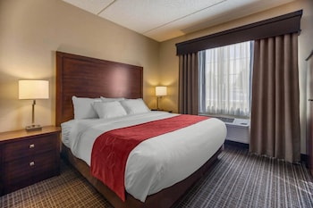 Suite, 1 King Bed with Sofa bed, Non Smoking, Jetted Tub
