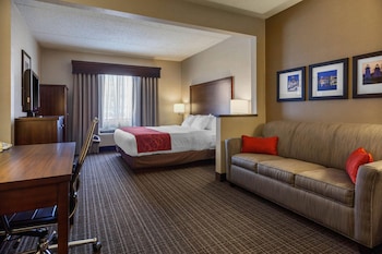 Suite, 1 King Bed with Sofa bed, Non Smoking (Rain shower)