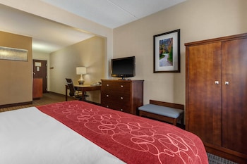 Suite, 1 King Bed with Sofa bed, Non Smoking (Rain shower)