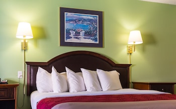 Standard Room, 1 King Bed, Non Smoking