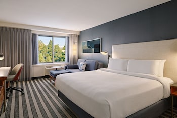 Room, 1 King Bed with Sofa bed (Mobility/Hearing Access, Roll-In Shwr)