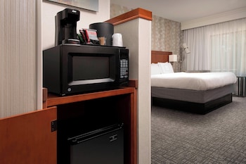 Room, 1 King Bed with Sofa bed (Mobility/Hearing Access, Roll-in Shwr)