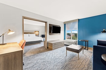 Suite, 1 King Bed (Bath Walk-In Shower)