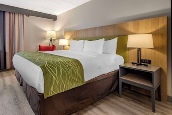 Standard Room, 1 King Bed, Non Smoking