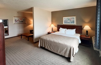 Suite, 1 King Bed with Sofa bed, Non Smoking