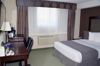 Comfort Room, 1 Queen Bed (Coast Queen)